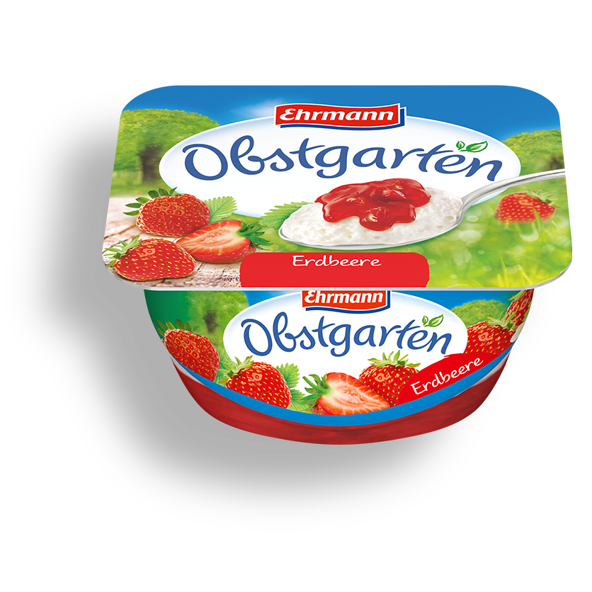 Ehrmann Robby Chocolate Pudding 90g